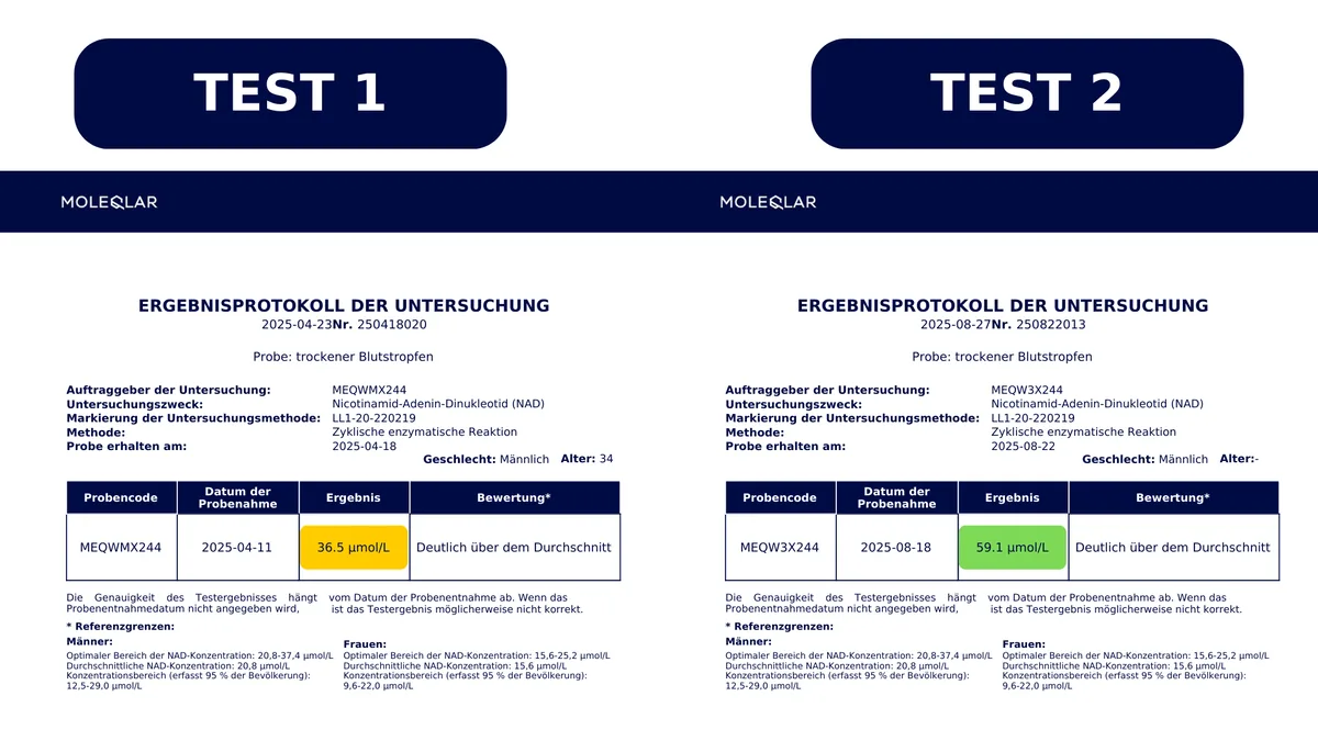 MoleQlar NAD+ Bluttest Erfahrung mit Rabattcode LH10 und zwei persönlichen Messergebnissen 36,5 und 59,1 µmol/L